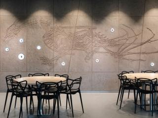 THE ROOTS, un dragon monumental et pourtant sympathique chez havas