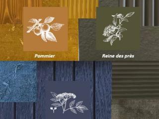 LES COULEURS DU JARDIN D’ENFANCE DE COLETTE