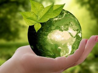 Acta participe à l'accélérateur RSE de l'Ameublement Français pour réduire l'impact sur l'environnement et la planète.